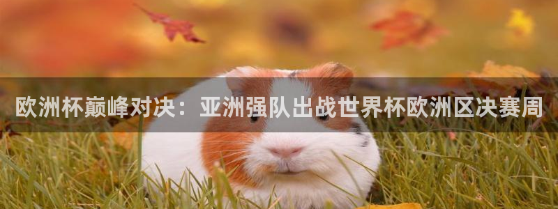 欧洲世界杯预选赛赛程：欧洲杯巅峰对决：亚洲强队出战世界杯欧洲区决赛周