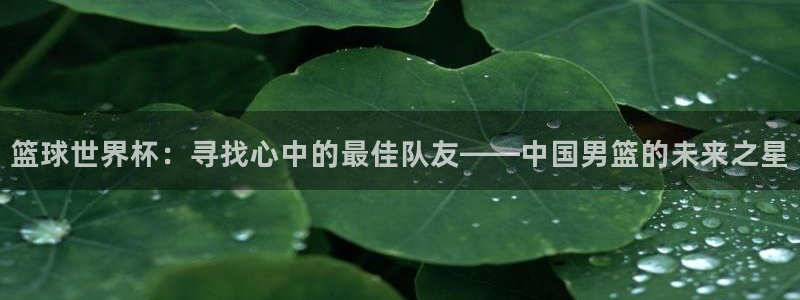 世界杯48支球队赛制：篮球世界杯：寻找心中的最佳队友——中国男篮的未来之星