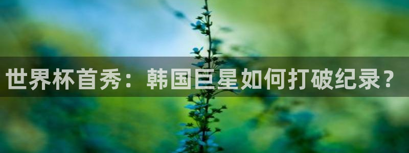 世界杯亚洲区预选赛：世界杯首秀：韩国巨星如何打破纪录？