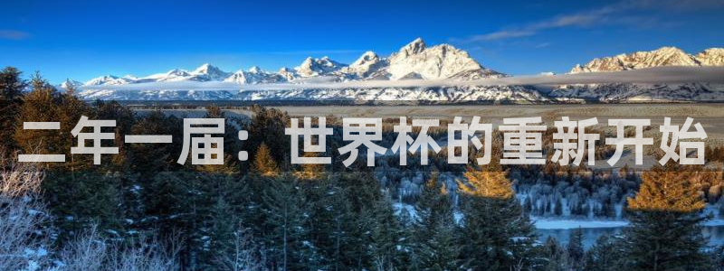 世界杯在线直播入口：二年一届：世界杯的重新开始