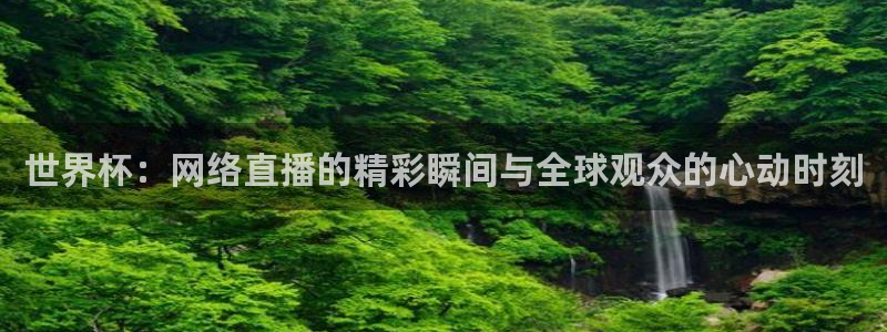 2026年世界杯：世界杯：网络直播的精彩瞬间与全球观众的心动时刻