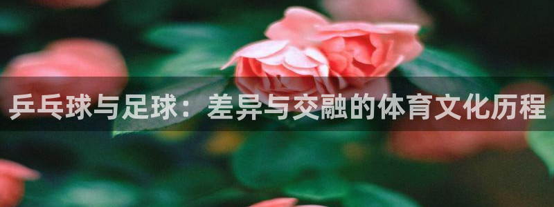 世界杯预选赛赛程表：乒乓球与足球：差异与交融的体育文化历程