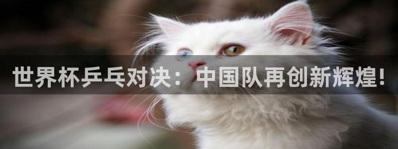 2026世界杯买球：世界杯乒乓对决：中国队再创新辉煌!