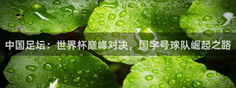 欧洲世界杯预选赛赛程：中国足坛：世界杯巅峰对决，国字号球队崛起之路