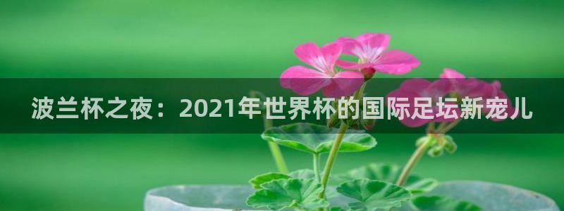 世界杯预选赛排名：波兰杯之夜：2021年世界杯的国际足坛新宠儿